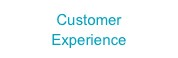 Customer
Experience
